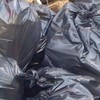 Bin bag full of 'cat heads' found on the street in Manchester