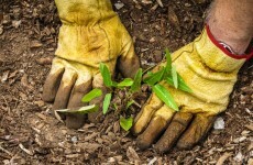Community service: 'Cheaper than jail and makes society more safe'