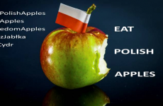 Poland have asked the people of Ireland to eat their apples