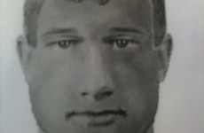 Gardaí issue photofit in search for Ballymount Park attacker