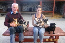 Happy ending: Gardaí find 9 dogs which had been stolen from a Kerry pet farm