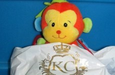 Staff at this Roscommon hotel are taking VERY good care of this lost teddy