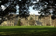 Man arrested after dog killed in Dublin field yesterday afternoon