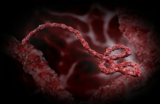 Test results expected in suspected Ebola case
