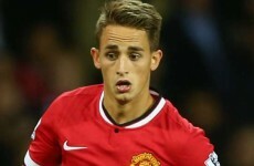 Where will Januzaj feature under Van Gaal?