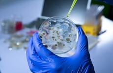 HSE rules out Ebola in death of Donegal man