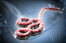 Two-year jail terms for hiding Ebola victims in Sierra Leone