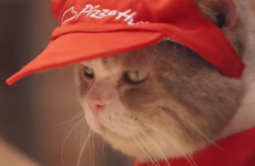 Cats have taken over a Japanese Pizza Hut