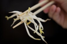 Don't eat raw bean sprouts: a warning from the Food Safety Authority