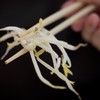 Don't eat raw bean sprouts: a warning from the Food Safety Authority
