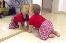 A bunch of babies discover mirrors for the first time, cuteness ensues