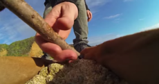 Weird Wide Web: Timelapses, furniture shopping and seeing the world through a dog's eyes