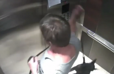 CEO put on probation after video of him kicking a dog goes viral