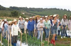 Hey lads - this Brazilian town full of women is looking for a few good men