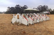 Move over Amazon! Google is working on its own drone delivery service