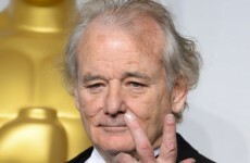 Why can't every sports team owner be like Bill Murray?
