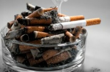 tobacco shop randwick Gallery — The Tobacco Shop of Ridgewood