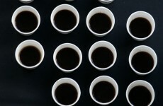 Here is what coffee actually does to your brain