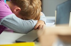 The problem of cyberbullying should have its own school subject - Principals