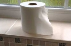 This dad's excellently sarcastic toilet-roll changing tutorial is going super viral
