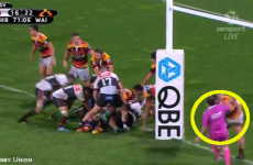 Gigantic Kiwi prop Tameifuna cited for pushing referee to the ground