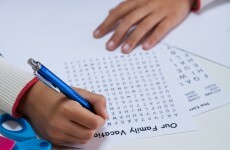 Carlow mother of six released from Mountjoy after being jailed for not paying homeschooling fine