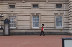 'Spinning' Buckingham Palace guardsman facing army investigation