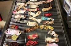 Vet removes 43 socks from sick dog's stomach
