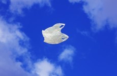 California to become first US state to ban plastic bags