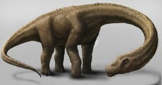 New dinosaur species bigger than T-rex and heavier than seven elephants