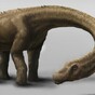 New dinosaur species bigger than T-rex and heavier than seven elephants