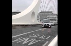 Mischievous swan holds up traffic on the Samuel Beckett Bridge