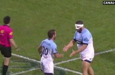 Huge forward argues with tiny back; chaos ensues