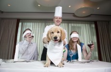 Could you manage to eat your dinner while wearing a blindfold?