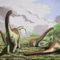 Another new species of dinosaur has been discovered