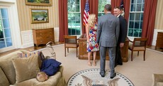 Little boy gets bored in the White House, performs amazing faceplant