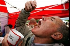 There's going to be a 'pestaurant' serving edible bugs at this year's Ploughing Championships
