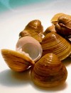 Asian Clam invasion prompts Longford angling ban