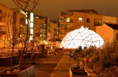 Community garden turns derelict Fatima Mansions site green