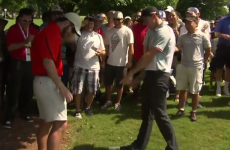 VIDEO: Rory McIlroy's golf ball lands in fan's pocket