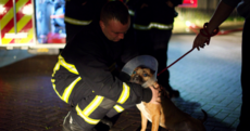 More than £1 million floods in to support dog shelter destroyed by blaze