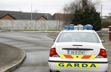 Guns found at two Dublin houses in organised crime raid