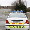 Guns found at two Dublin houses in organised crime raid