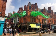 Dublin's giant octopus now has a name