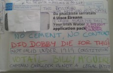 Here's the best Irish Water protest so far