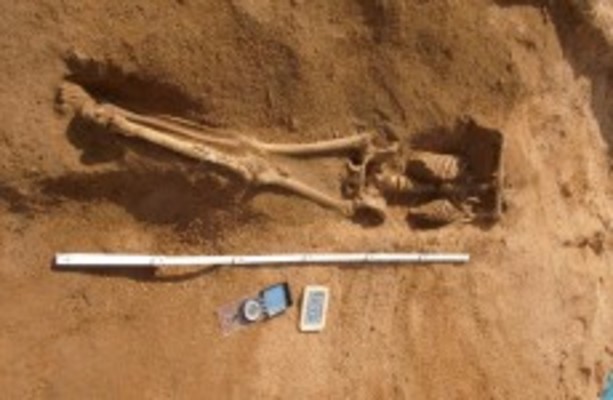 Skeletons found in a Portuguese mass grave belonged to African slaves