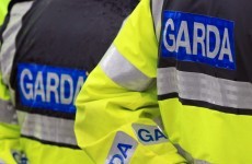 Gardaí have been 'incalculably' damaged by delay in investigation of 'garda misconduct'
