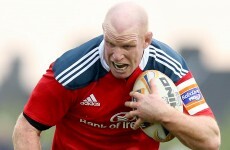 O'Connell and Murray return for Munster's clash with Zebre