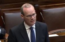 'I will not send Irish troops into civil war in Syria' - Coveney