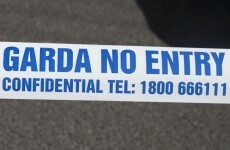 Man sustains serious head injuries in Waterford assault